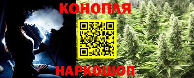 гидропоника Заводоуковск