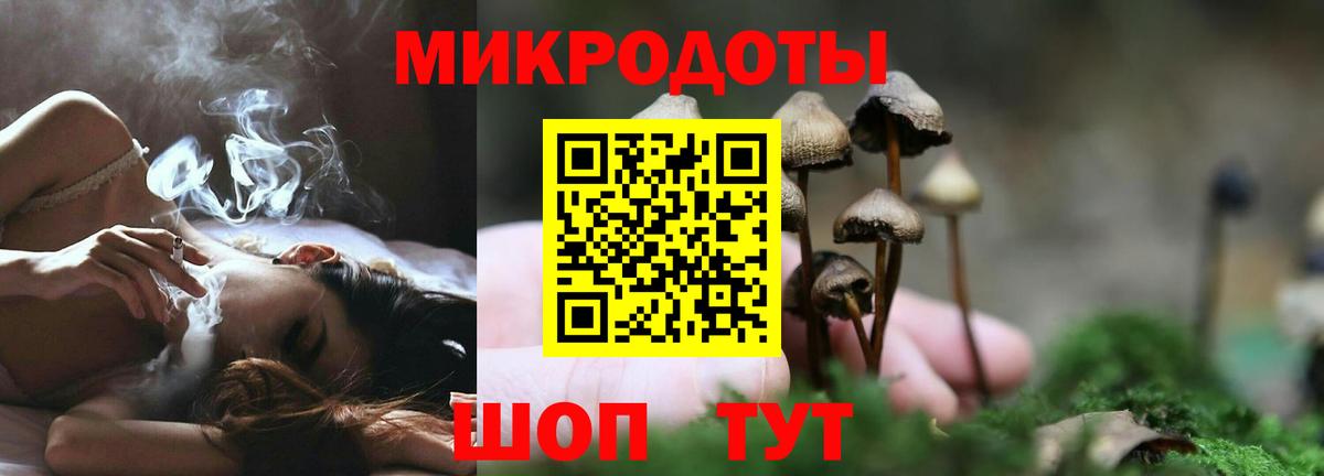 Псилоцибиновые грибы GOLDEN TEACHER Менделеевск